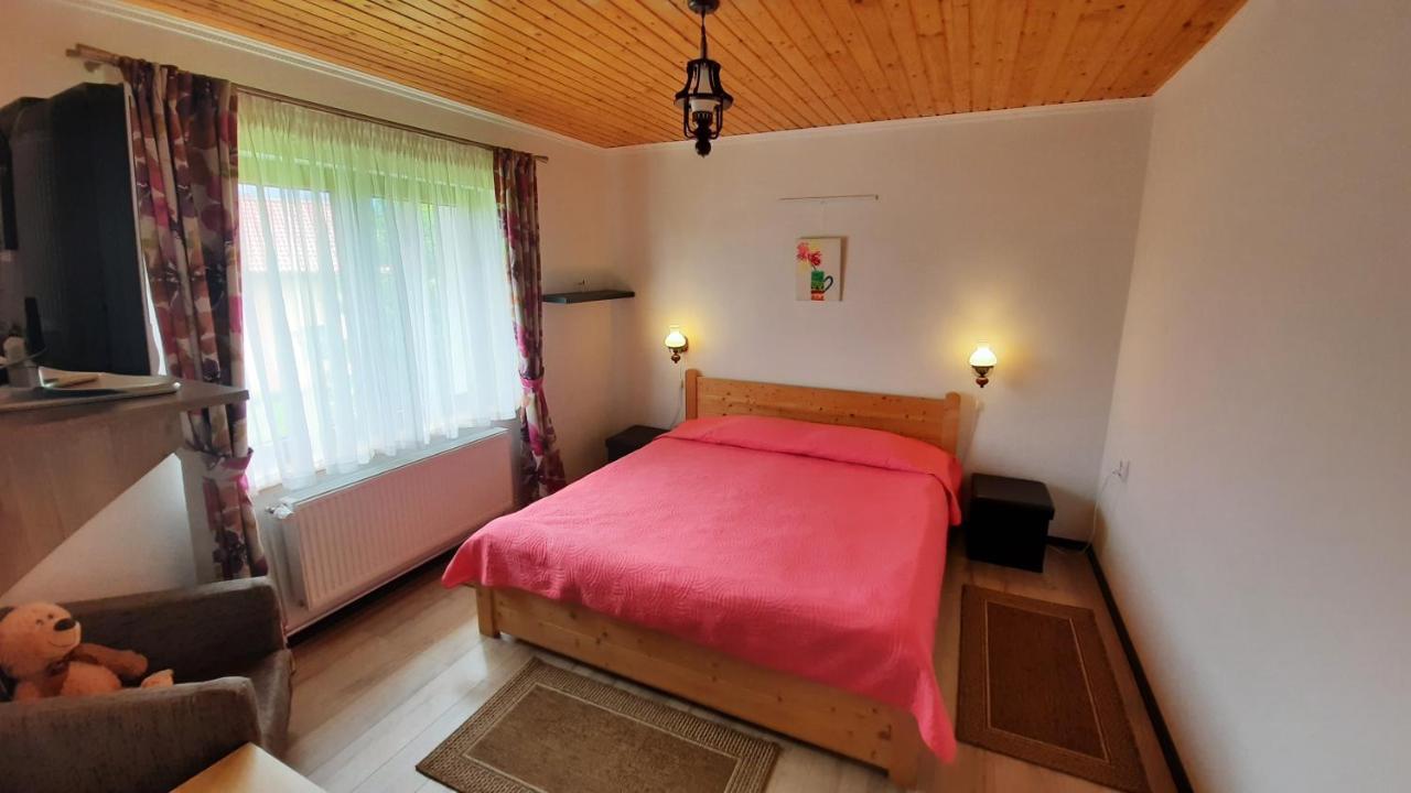 Casa De Vacanta Two Brothers Concept Paltinis Ngoại thất bức ảnh