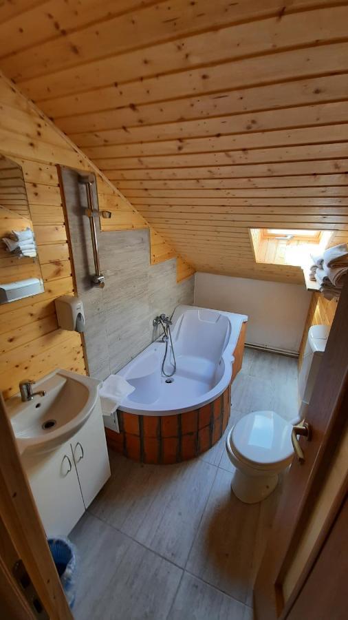 Casa De Vacanta Two Brothers Concept Paltinis Ngoại thất bức ảnh