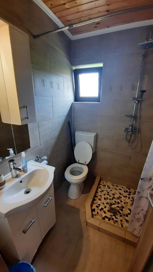 Casa De Vacanta Two Brothers Concept Paltinis Ngoại thất bức ảnh