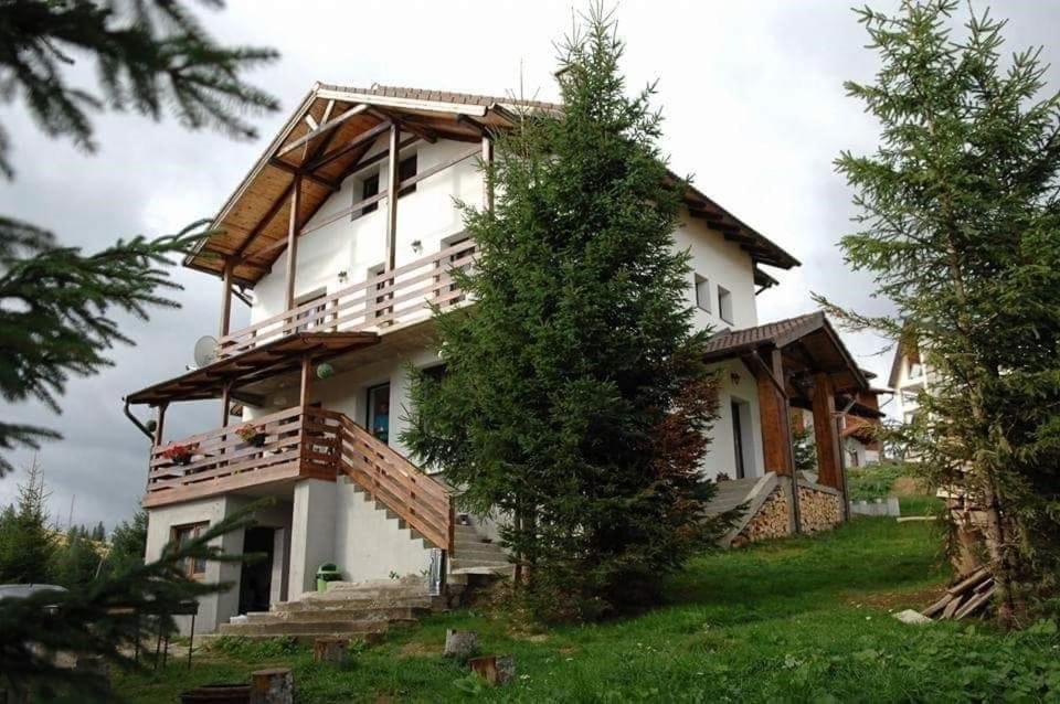 Casa De Vacanta Two Brothers Concept Paltinis Ngoại thất bức ảnh