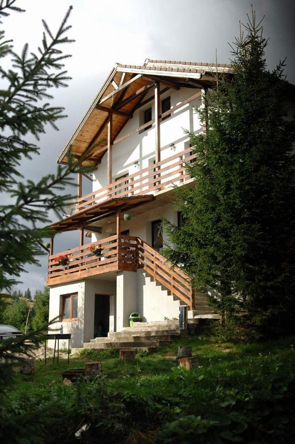 Casa De Vacanta Two Brothers Concept Paltinis Ngoại thất bức ảnh